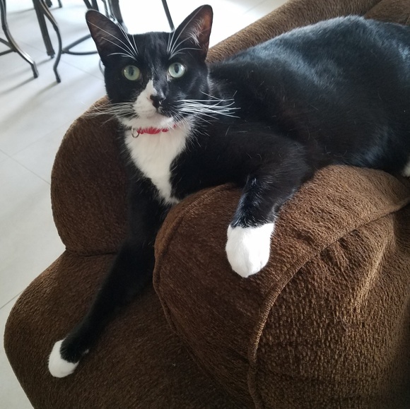 Meet your Posher, Jessica - Picture 3 of 4